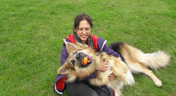 Cosy cuddles and dog fun runs., dog sitter in Northolt