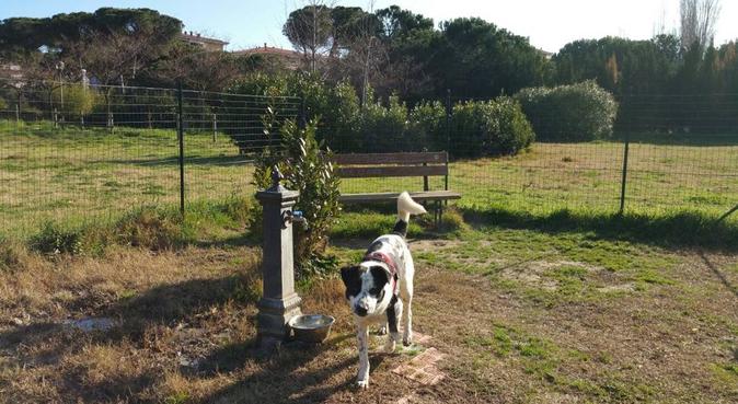 Casa Bonita per amici e più amici!, dog sitter a Montesilvano, PE, Italia