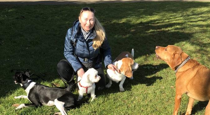 🐾 Dog Walker in Hove/best friend is dog 🐾, dog sitter in Hove