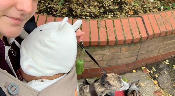 Fun and cuddles in Bermondsey, dog sitter in Rotherhithe