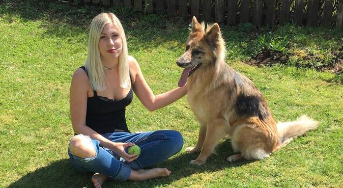 Hundkompisar sökes till väluppfostrad 24åring., hundvakt nära Johanneshov