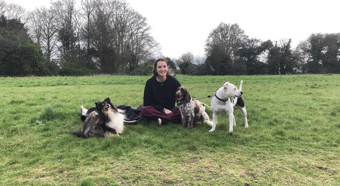 Dog hearted warmth, dog sitter in Guildford, UK