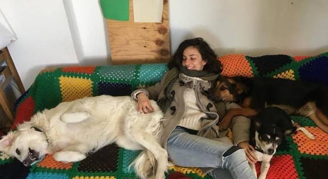 Passeggiate in campagna con educatrice cinofila!!, dog sitter a Castel Guelfo di Bologna, BO, Italia