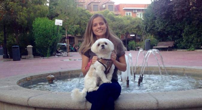 Cuidado + Amor = Perros más felices 🐩🐕🐾💕, canguro en Valencia, Spain