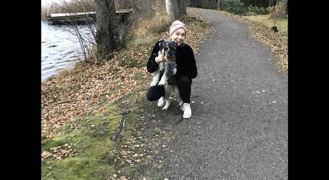 Bästa hundvakten för en lycklig vovvis, hundvakt nära Örebro