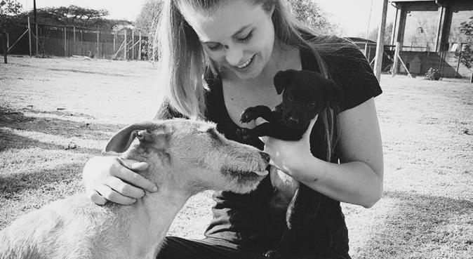 Animal Carer & Registered Student Veterinary Nurse, dog sitter in Edinburgh