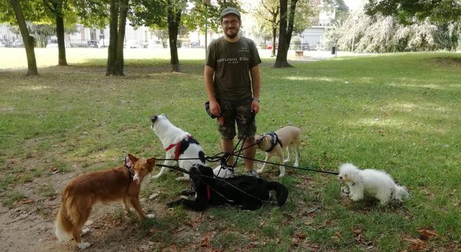 Addestratore cinofilo con qualifica ENCI, dog sitter a Nova Milanese