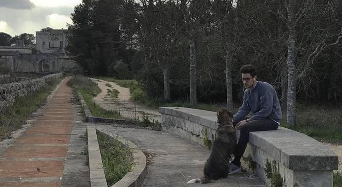 Coccole, salute e svago 🎾, dog sitter a Bari, BA, Italia