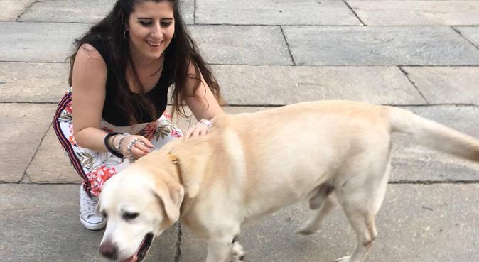 confort,natura e tanto amore a tutti i cagnolini 💙, dog sitter a Torino