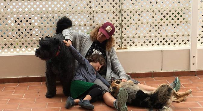 Viaja tranquilo, tu mascota en las mejores manos, canguro en Nuevo Portil, España