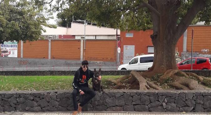La música y los perros son la mejor combinación!, dog sitter a San Cristóbal de La Laguna, España