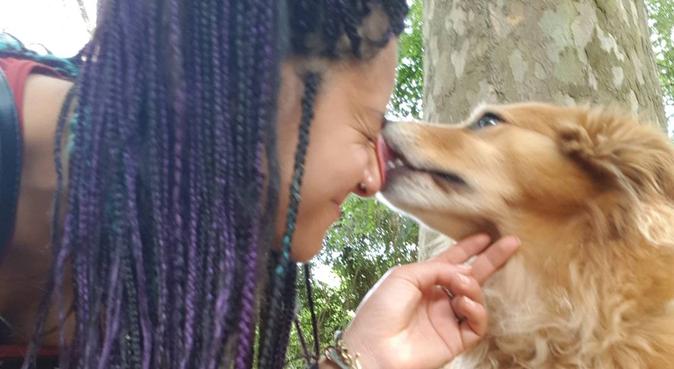 Angolo di amore e gioia per i nostri amici pelosi, dog sitter a Pisa