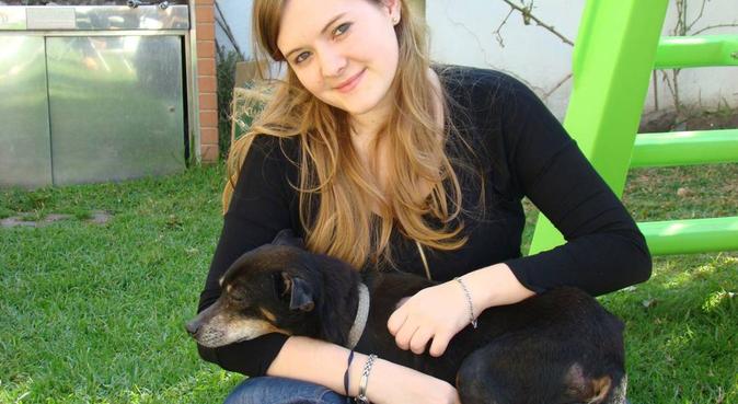 Dog lover and vet student, Hundesitter in Koln