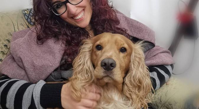 Dogs friend in Cardiff, dog sitter in Cardiff