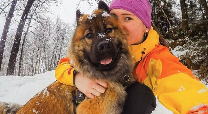 Sporty lærerstudent som elsker hunder!, hundepassere i Trondheim
