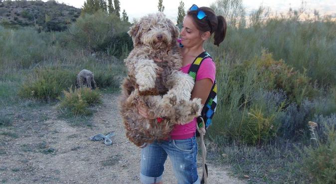 Que tu perro no se quede sin paseo!!!, canguro en Chiclana de la Frontera