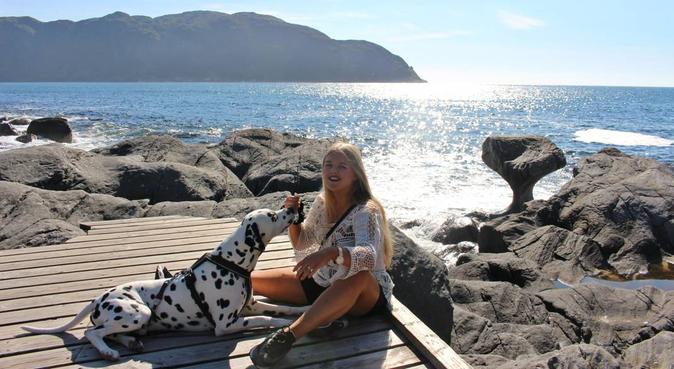 Elsker hunder!, hundepassere i Olsvik