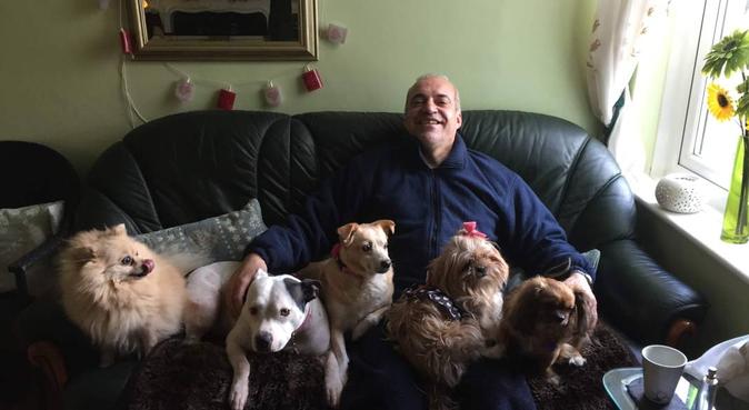 Dog walking and sitting, dog sitter in Reading