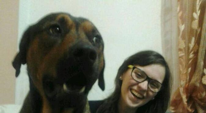 Passeggiate divertenti con un'amante dei cani!, dog sitter a Pisa