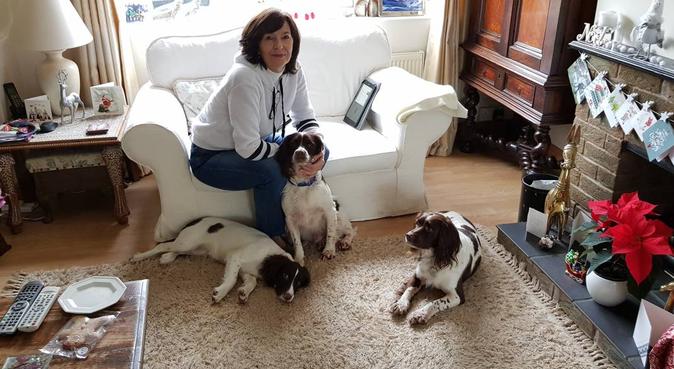 Always a warm welcome for your dog, dog sitter in WEST BYFLEET