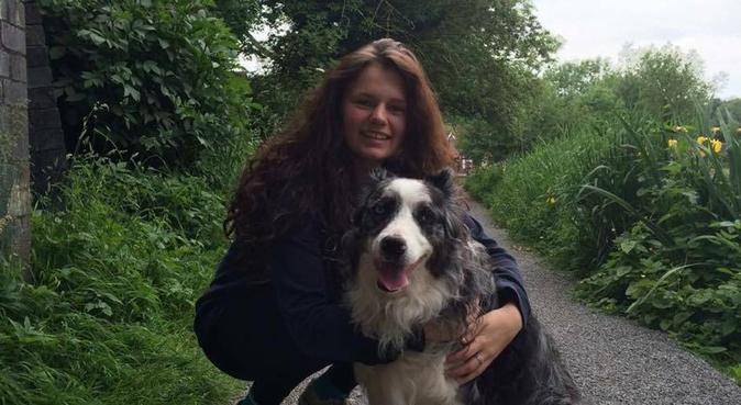 Fun and friendly dog lover and walker, dog sitter in Sheffield, UK