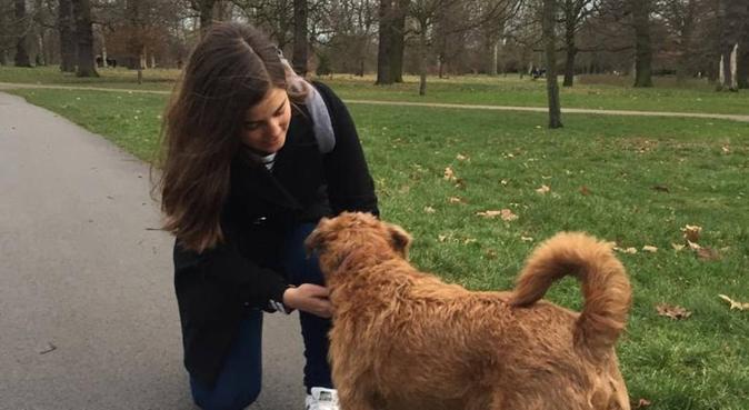 Fun walks in the park!, dog sitter in London, UK
