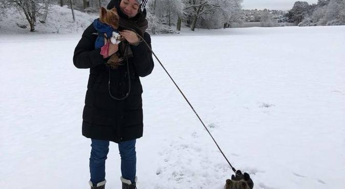 Dogs' big sister in Stockholm!, hundvakt nära Bromma