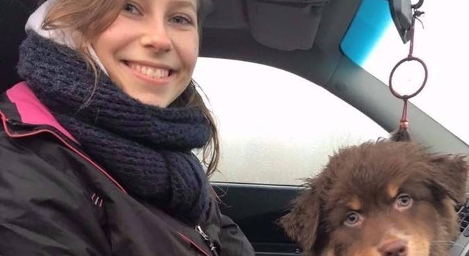 Etudiante vétérinaire garde vos chiens à Lille, dog sitter à La Madeleine