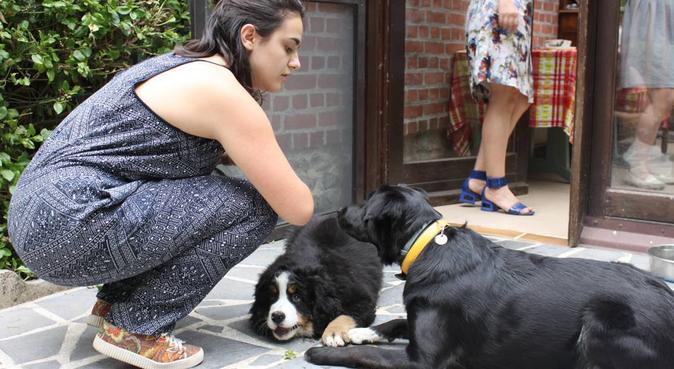 Jeune dynamique et passionnée par les chiens, dog sitter à Rouen