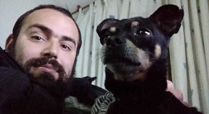 Chico amante de los perros se ofrece como cuidador, canguro en Cádiz