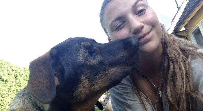 Saknar vovven där hemma söker ersättare i Lund, hundvakt nära Lund, Sverige