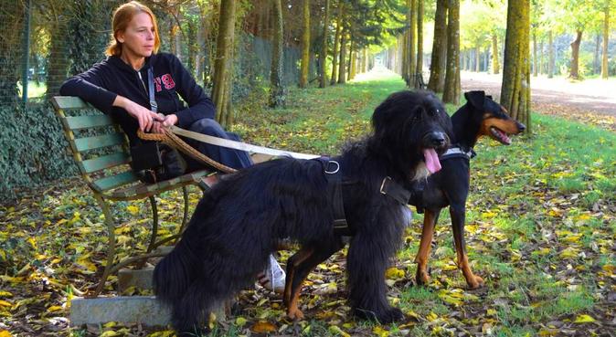 Tanto rispetto, passeggiate e carezze :), dog sitter a Oriolo Romano