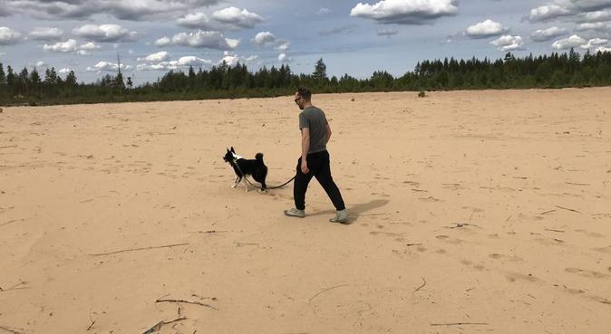 Kärleksfull hundpassning i Täby, hundvakt nära Enebyberg