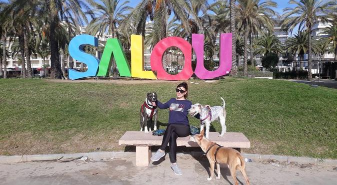 Divertidos y saludables paseos, dog sitter à Tarragona
