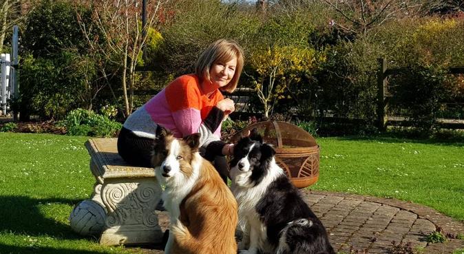Home from home - Your dog won't want to leave!, dog sitter in Hoddesdon, Hertfordshire