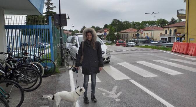 Coccole,passeggiate e tanta allegra compagnia, dog sitter a Albignasego, PD, Italia