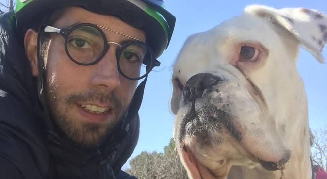 Paseos tranquilos para tu perro!, dog sitter in Madrid