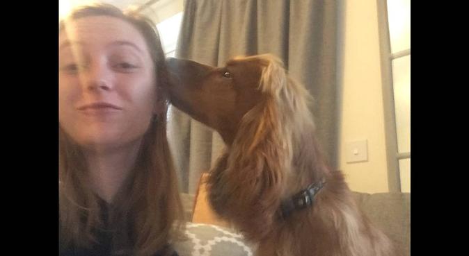 Rosie's Dog Care, dog sitter in Peterborough