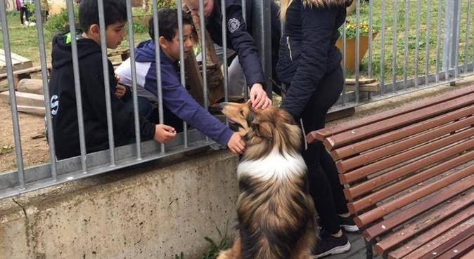 #Edéndeensueño, para perros cariñosos y activos(:, canguro en Vitoria-Gasteiz