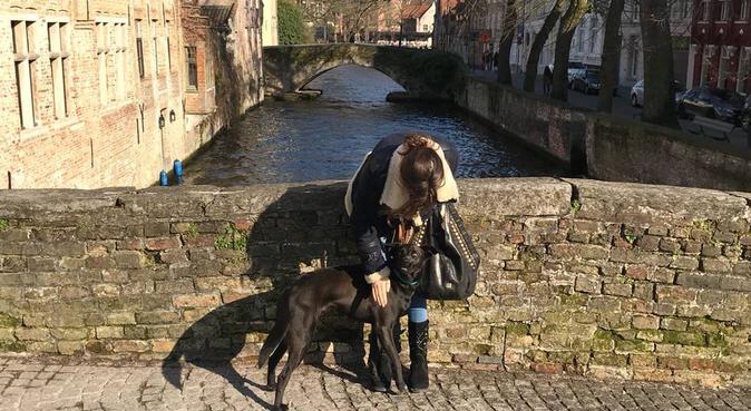 Trustworthy dog lover with experience, hondenoppas in Amsterdam
