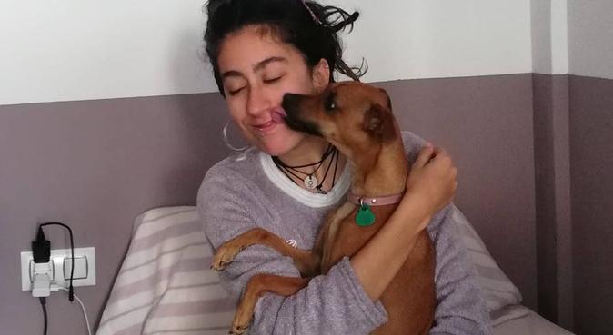 Tu perro mi hogar, canguro en Granada