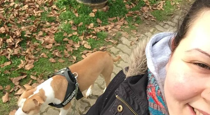 Passeggiate lunghe o corte, basta divertirsi!, dog sitter a Verona