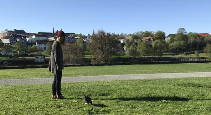 To lykkelige samboere som savner å ha hund i huset, hundepassere i Trondheim, Norge