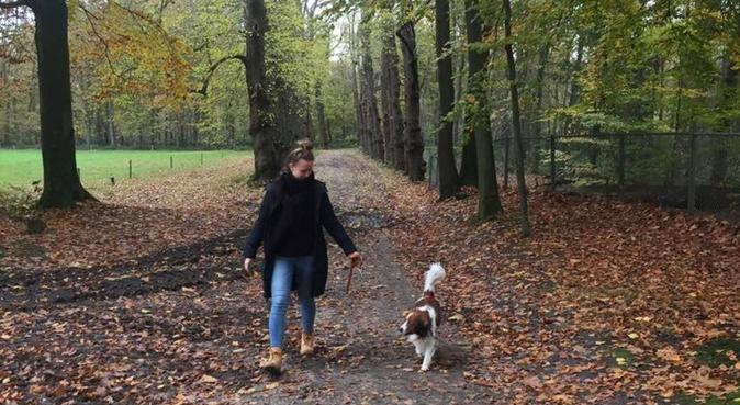 Groot hart voor honden, hondenoppas in Amersfoort, Nederland