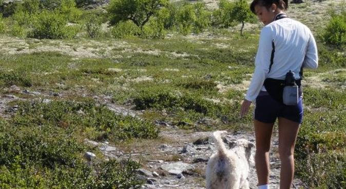 Hundens beste venn!, hundepassere i Kristiansand