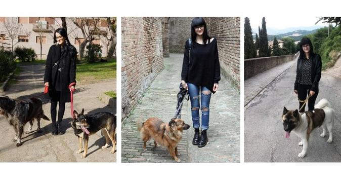 Sono Giulia e mi occuperò volentieri del tuo cane!, dog sitter a Pescara, PE, Italia