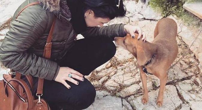 Coccole&passeggiate con Eleonora, dog sitter a Palermo