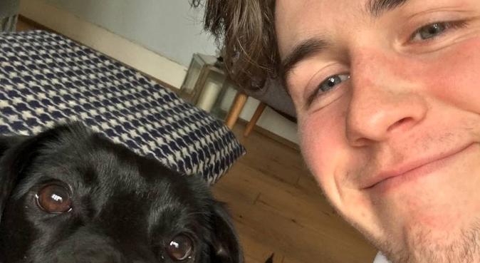 Student with LOTS of time who loves dogs, dog sitter in Leicester