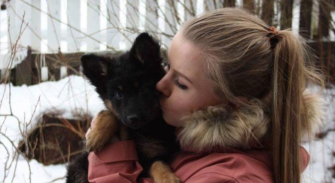 Hundeelsker med egen hund, hundepassere i Levanger