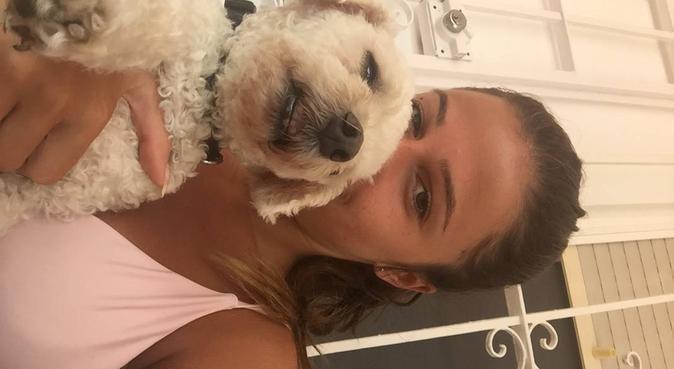 Au bonheur des toutous, dog sitter à Antibes, France